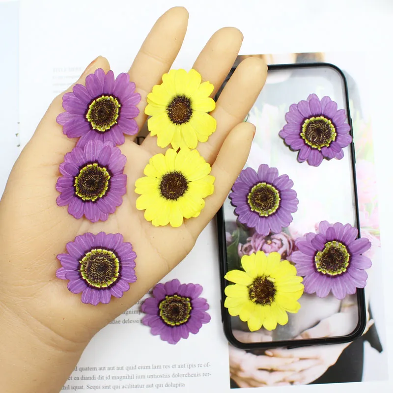40pcs Pressed Dried 3-5cm Yell - Yellow Phone Accessories ulasan dan harga